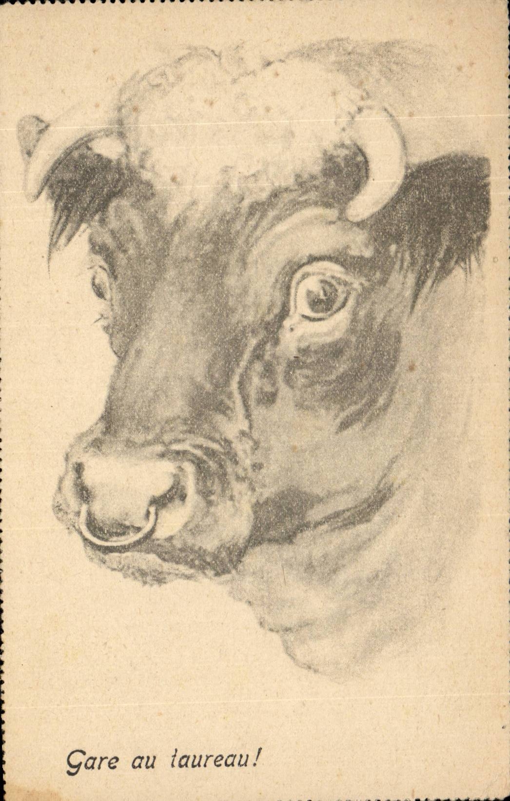 CPA Fantasy Parks with the bull