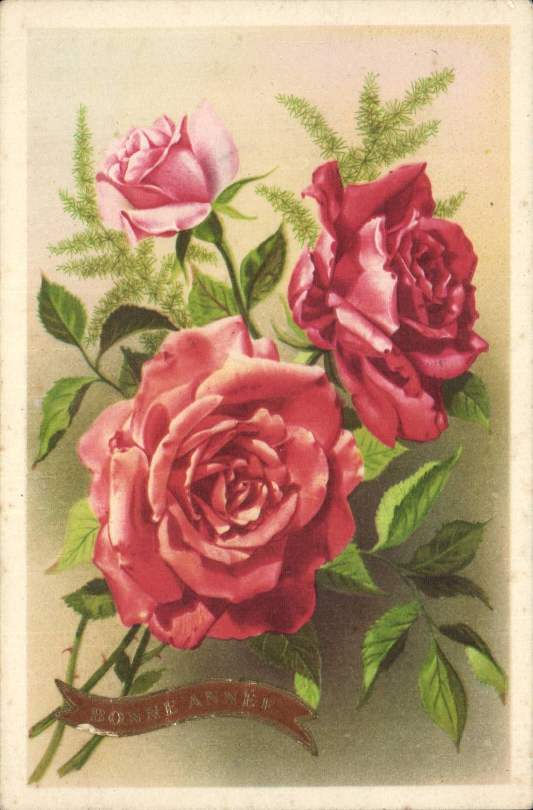 CPA Phantasie bluht Rosen