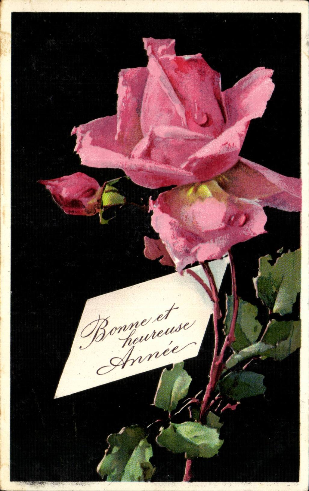 CPA Phantasie bluht Rosen