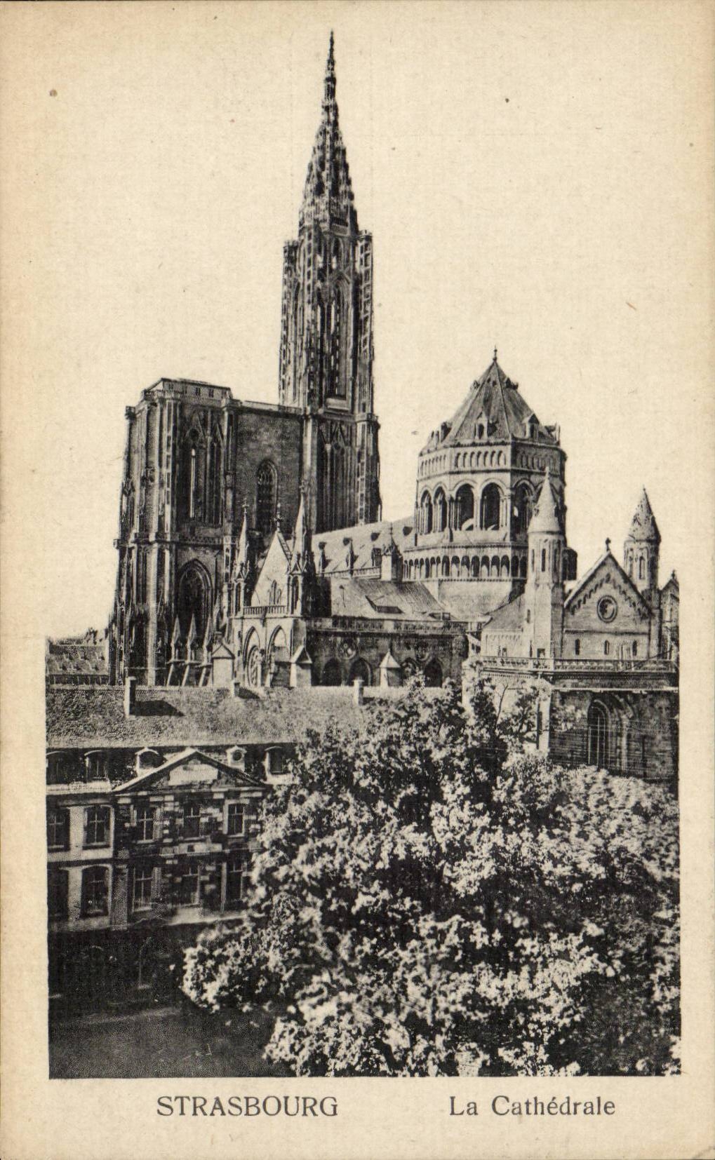 CPA Strasbourg the cathedral