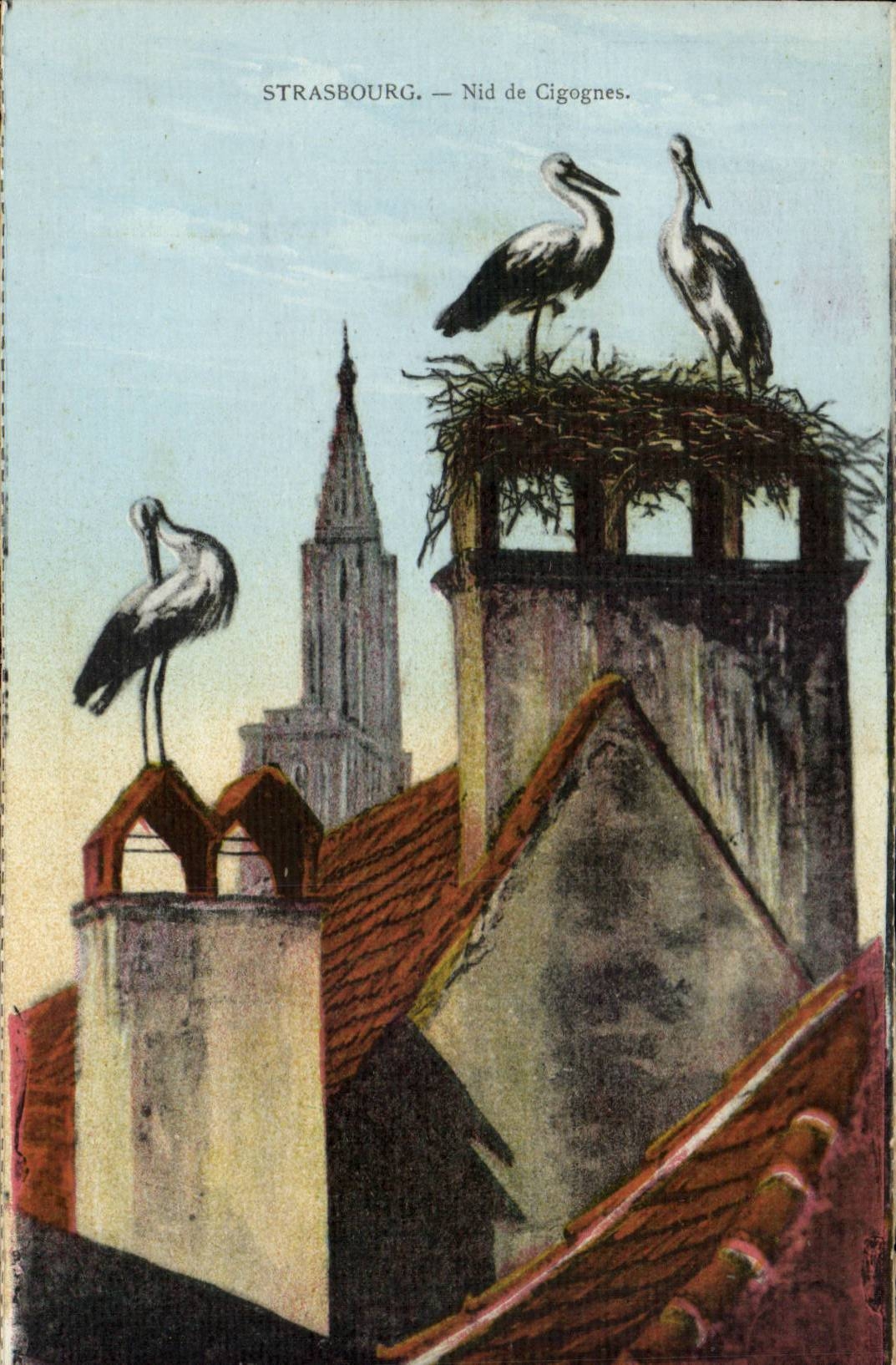 CPA Strasbourg Nest of storks