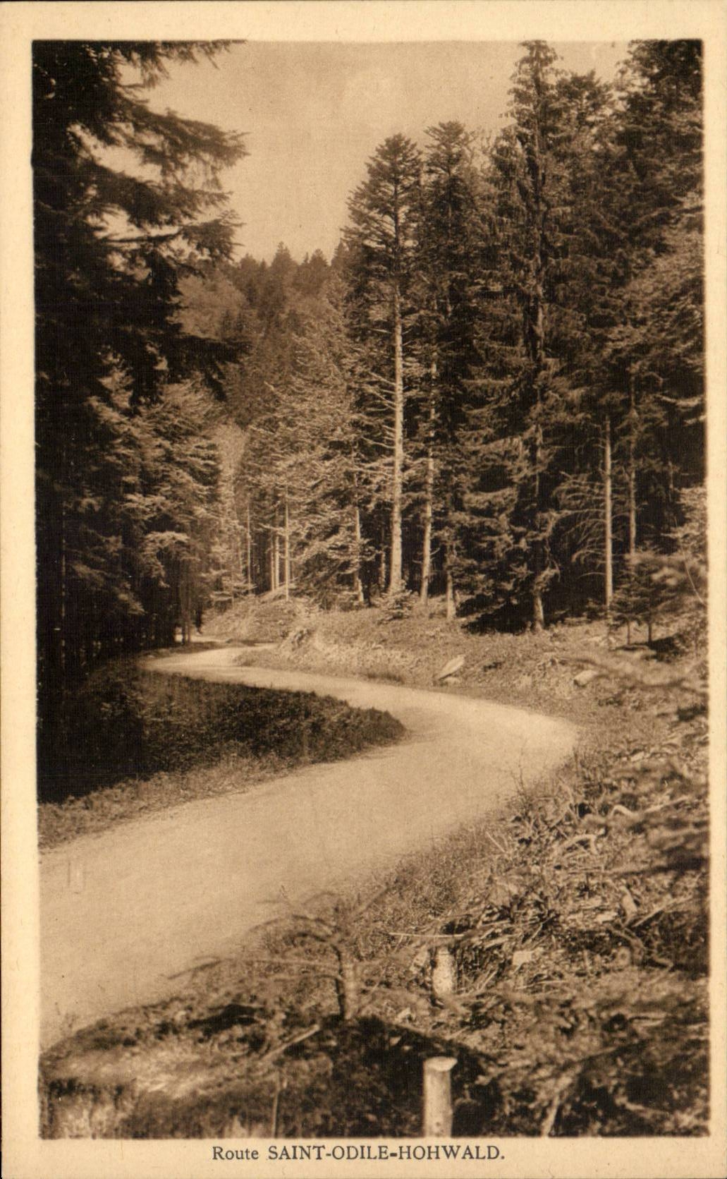 CPA Saint Odile Hohwald Strasse