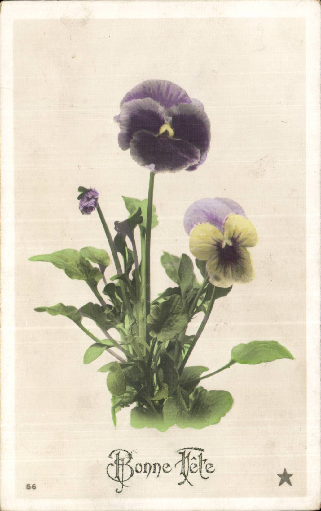 CPA Phantasie bluht gutes Festival