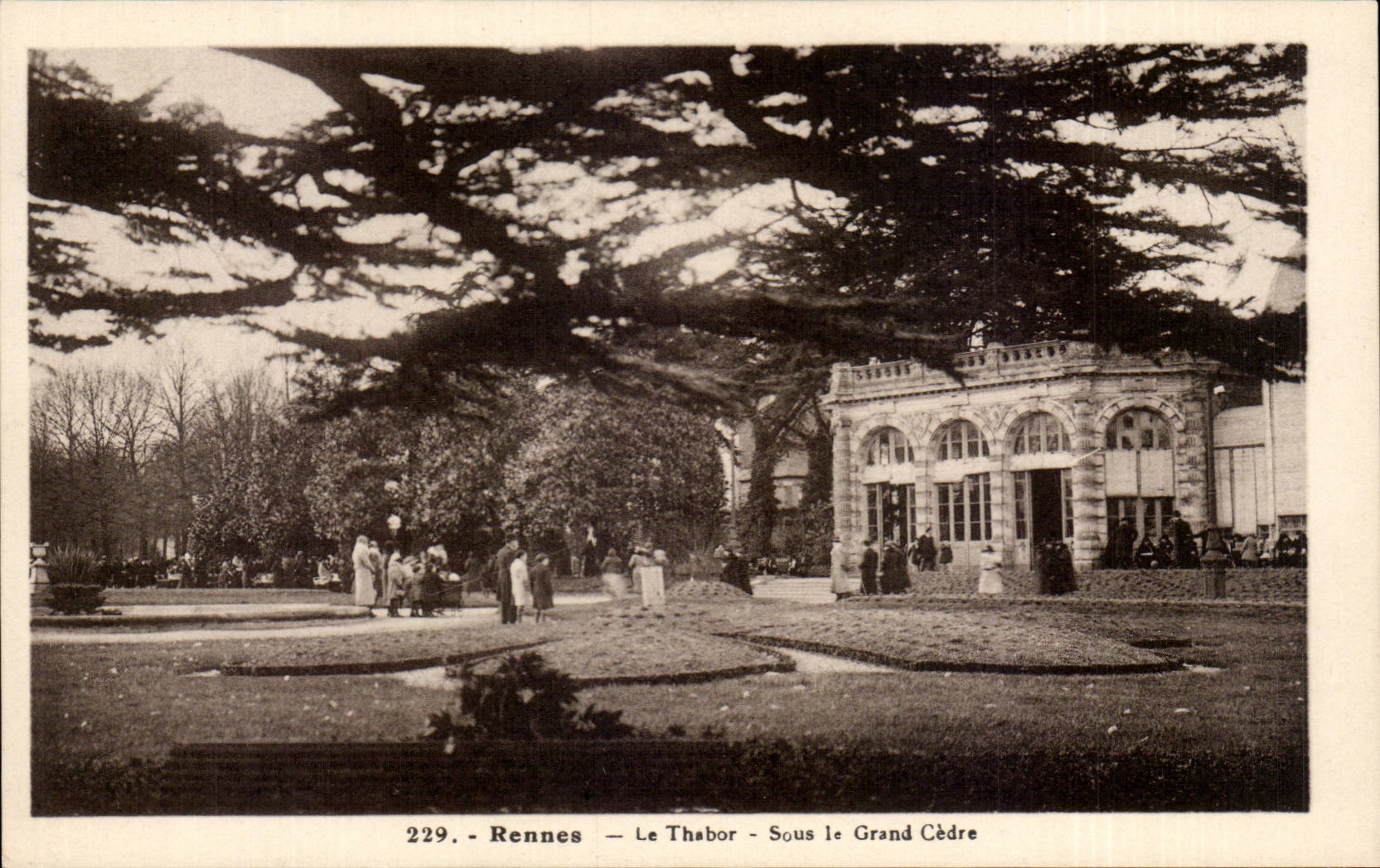CPA Rennes le Thabor Sous le grand cedre
