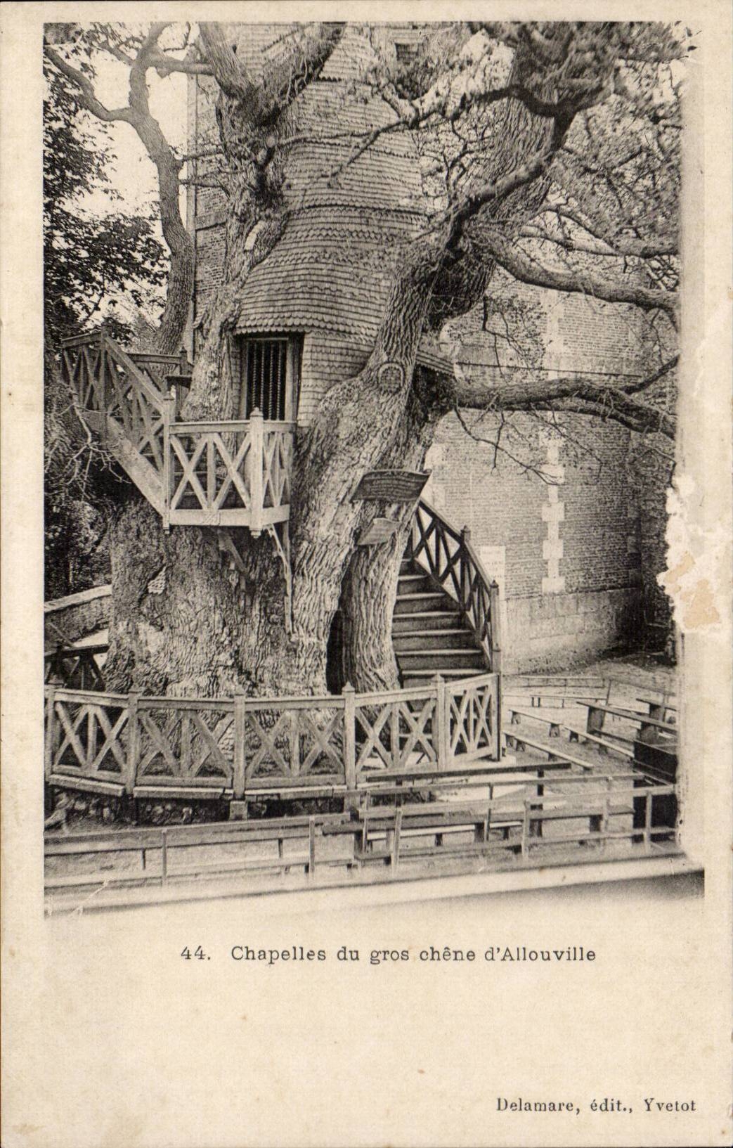 CPA Allouville Bellefosse Vault of the large oak