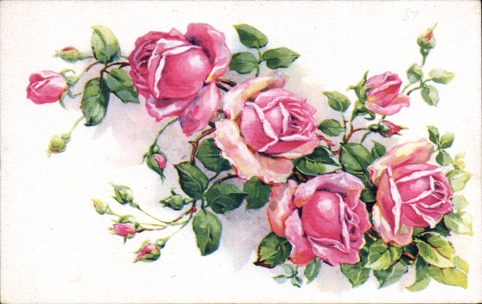 CPA Fantasy Flowers Roses