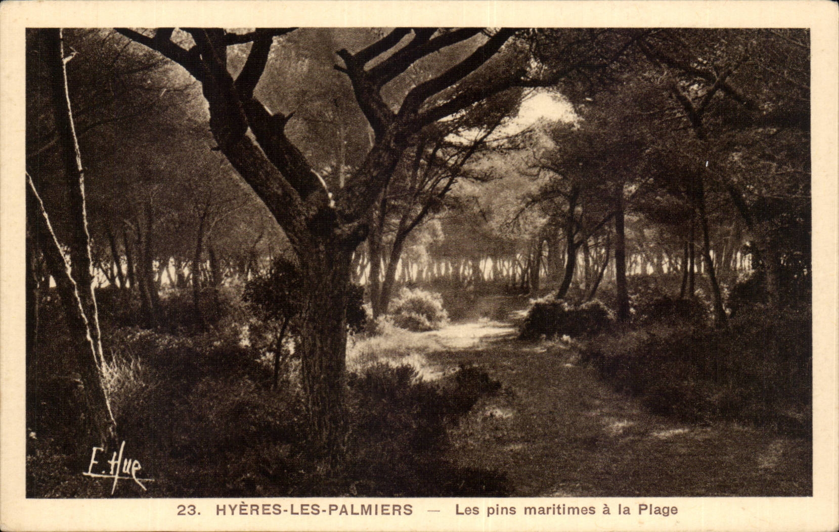 CPA Hyeres Palme-Seekiefern mit dem Strand