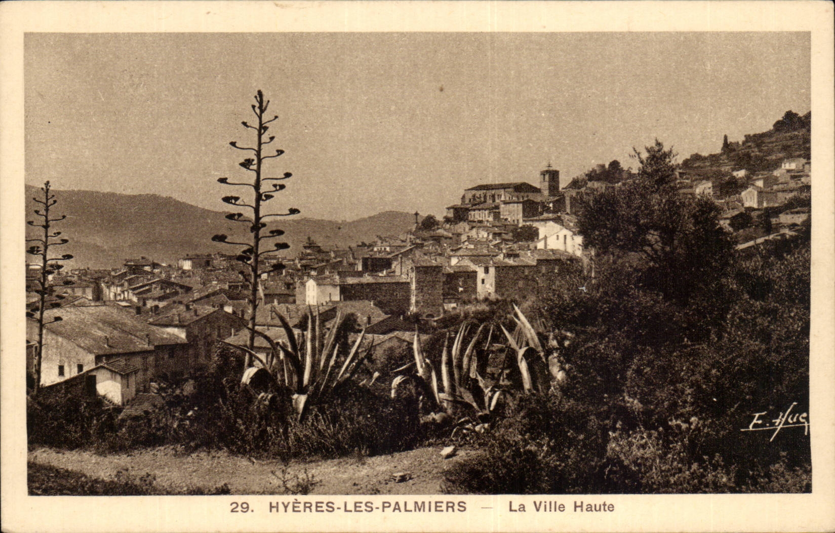 CPA Hyeres Palmen die hohe Stadt