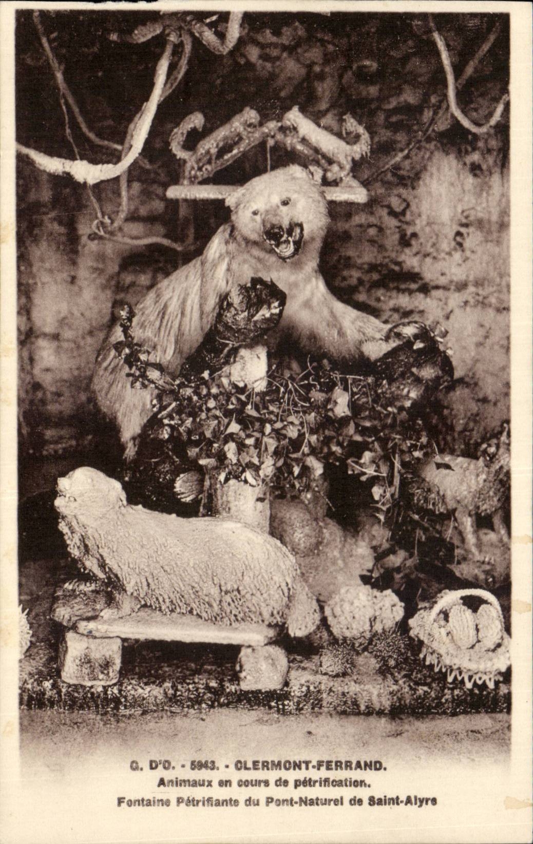 Animal CPA Clermont Ferrand in the course of petrification petrifying Fountain of the natural bridge of Saint Alyre Soft Bear Bear