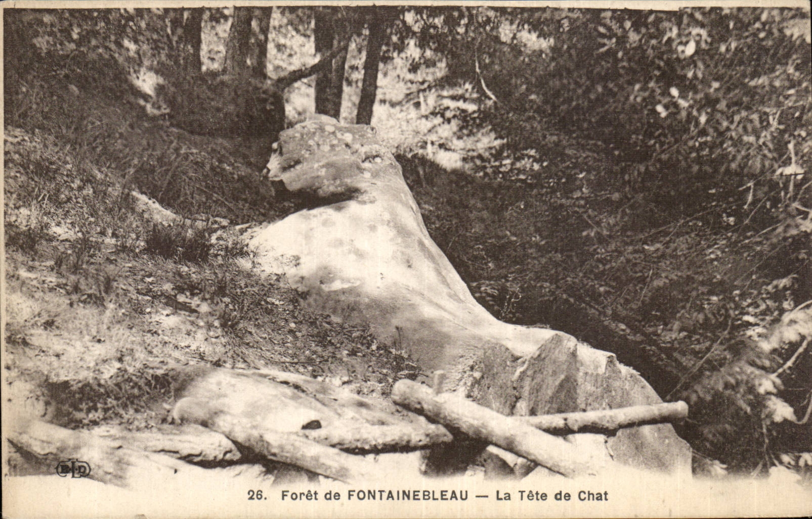 CPA Drill of Fontainebleau the nigger head