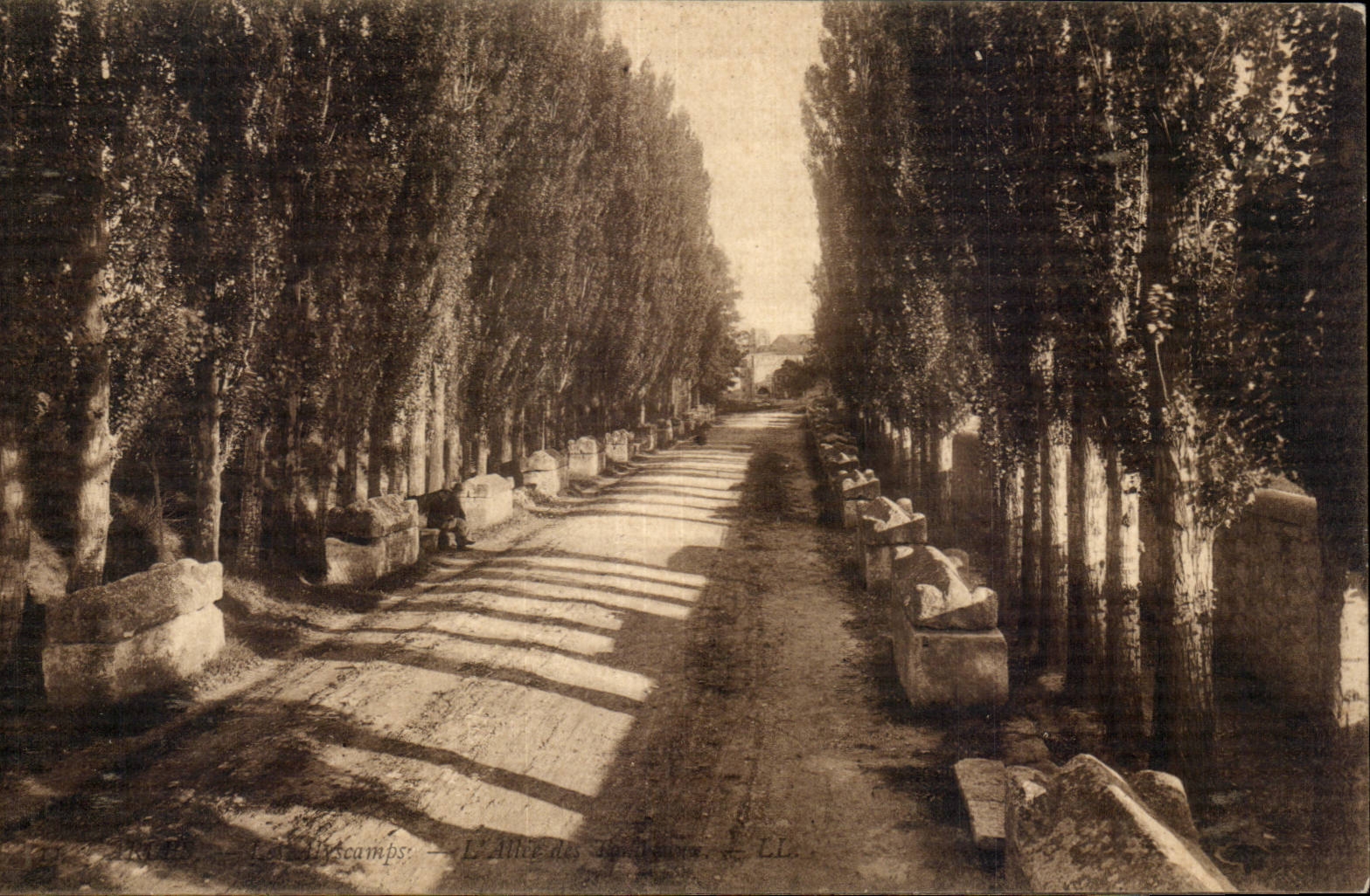 Arles - Alyscamps - Allee of Tombs CPA
