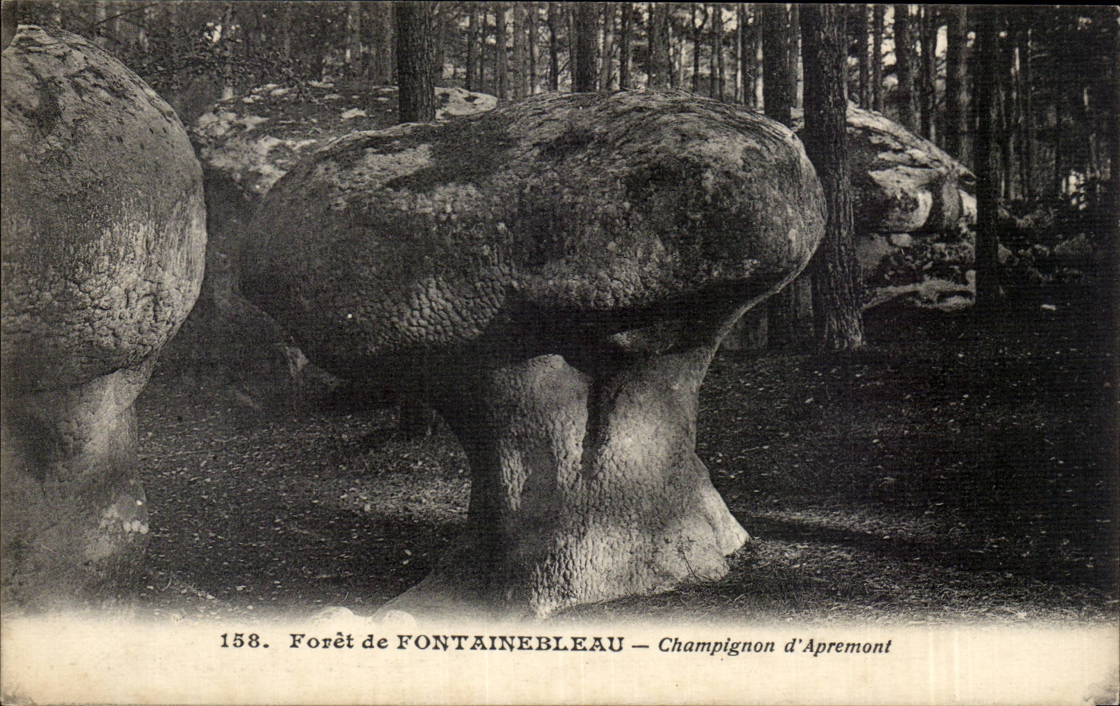 Drill of Fontainebleau - Mushroom of Apremont - CPA