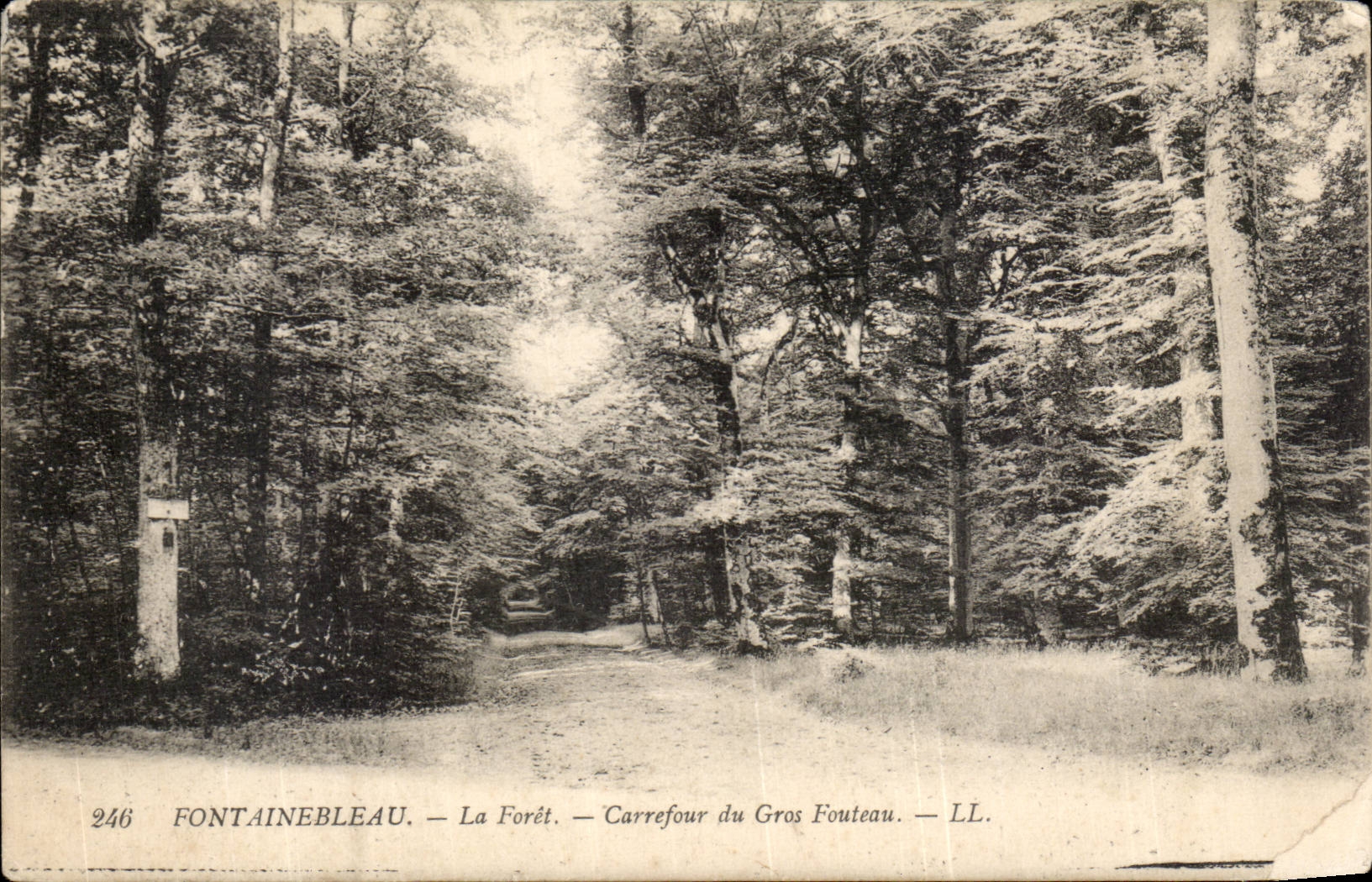 CPA Fontainebleau the drill Crossroads of large Fouteau