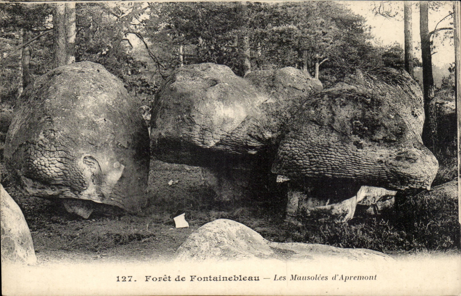 CPA Drill of Fontainebleau mausoleums of apremont