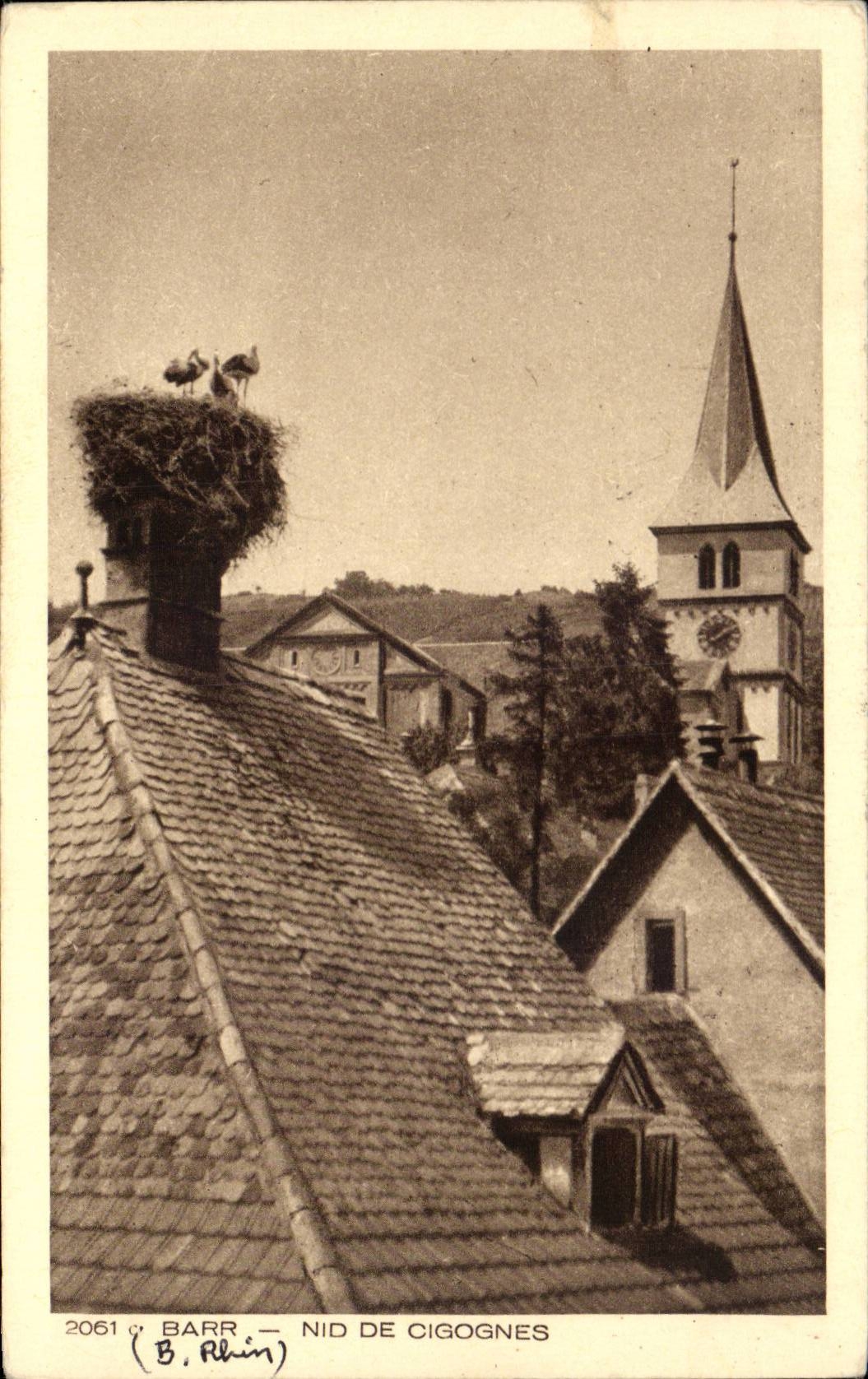 CPA Barr Nest of storks