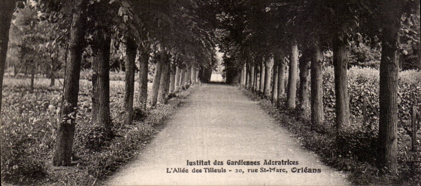 CPA Orleans Institute of the guardians adoratrices the alley of the 20 rue St Marc limes