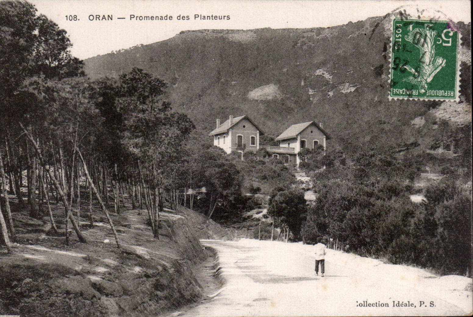 CPA Algeria Oran Walk of the growers