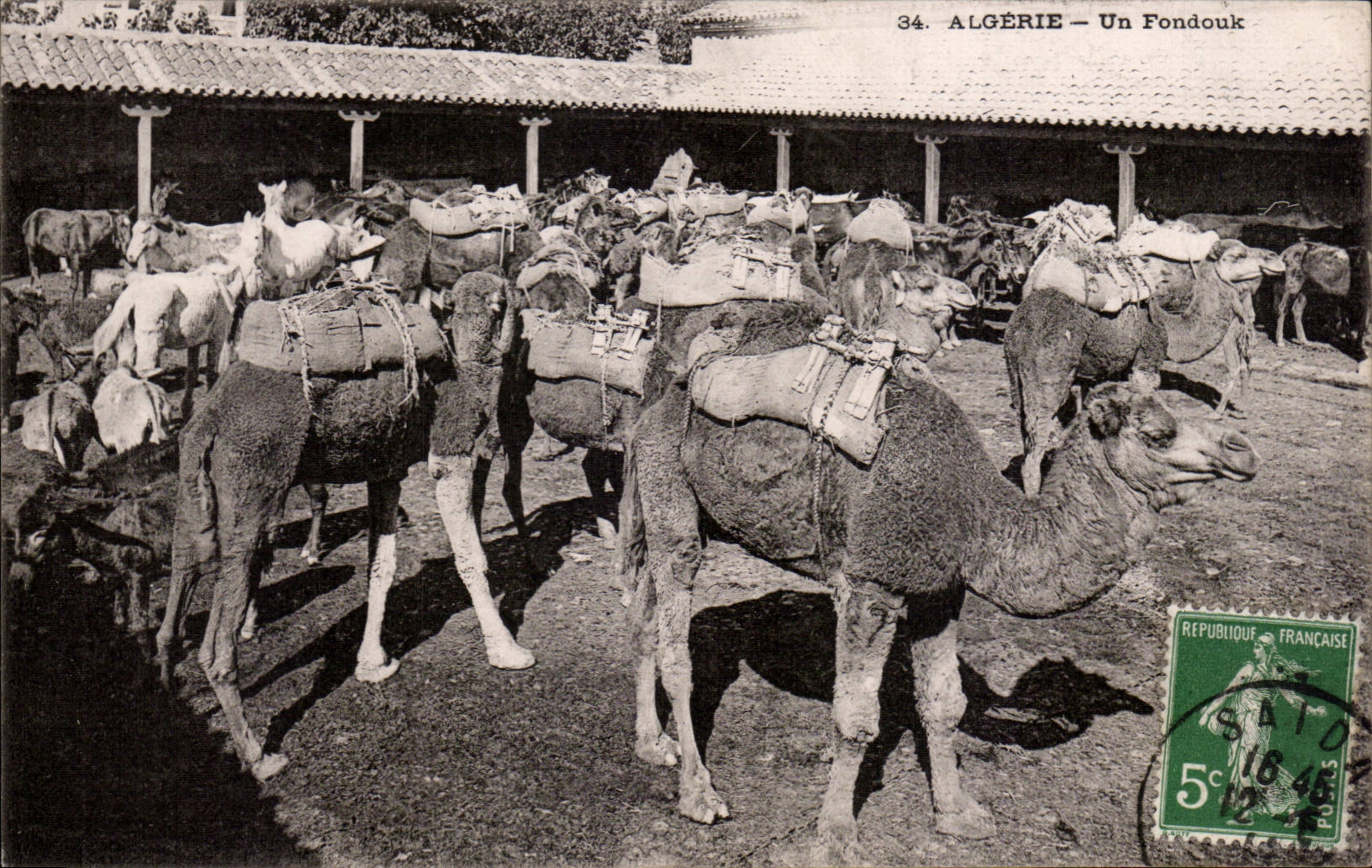 CPA Algeria Fondouk Camel Camel