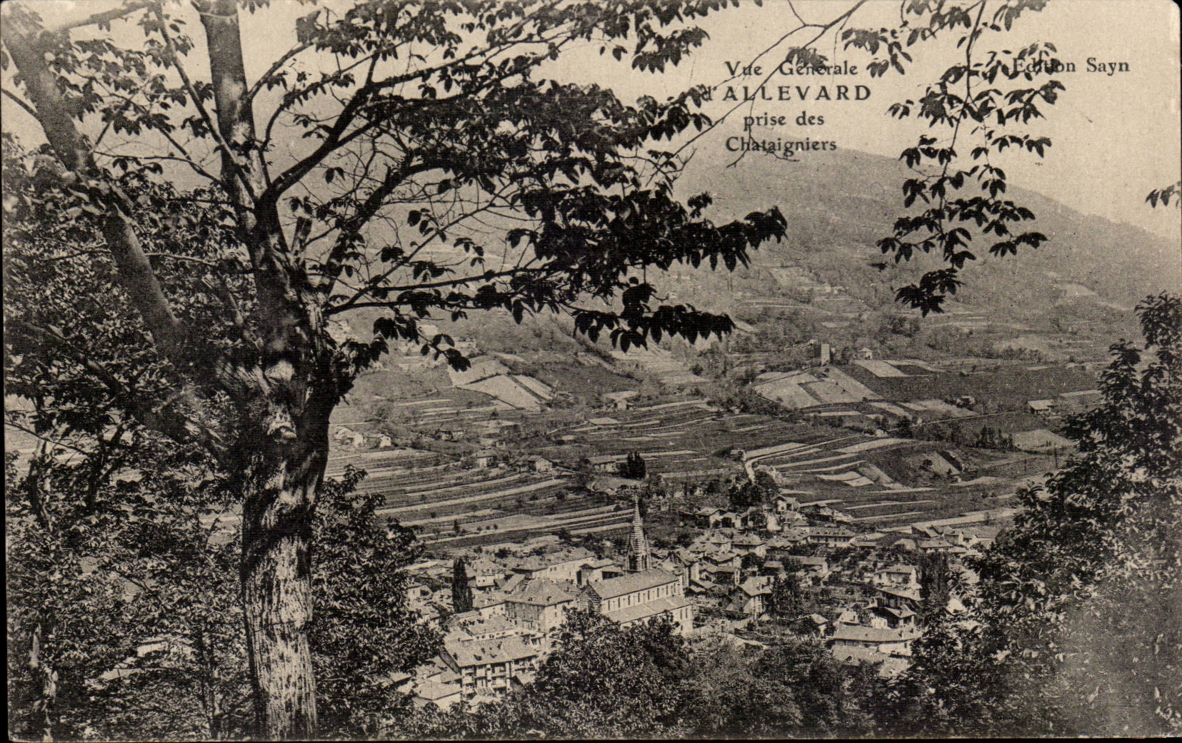 CPA Allevard Seen from of the chestnuts