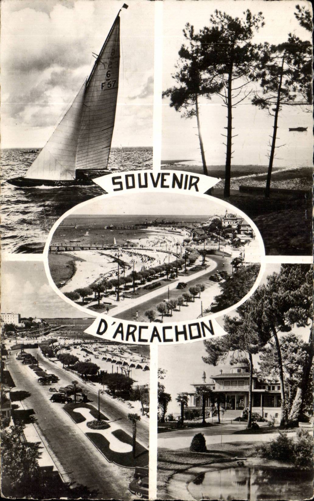 CPSM Souvenir d'Arcachon 