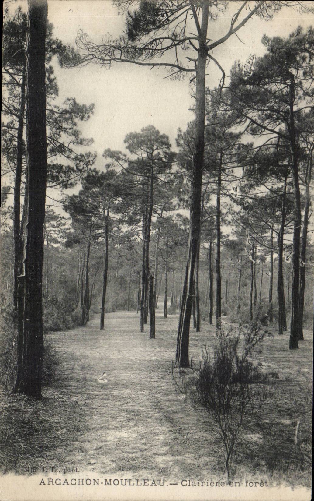 Arcachon Moulleau CPA Clairiere en foret