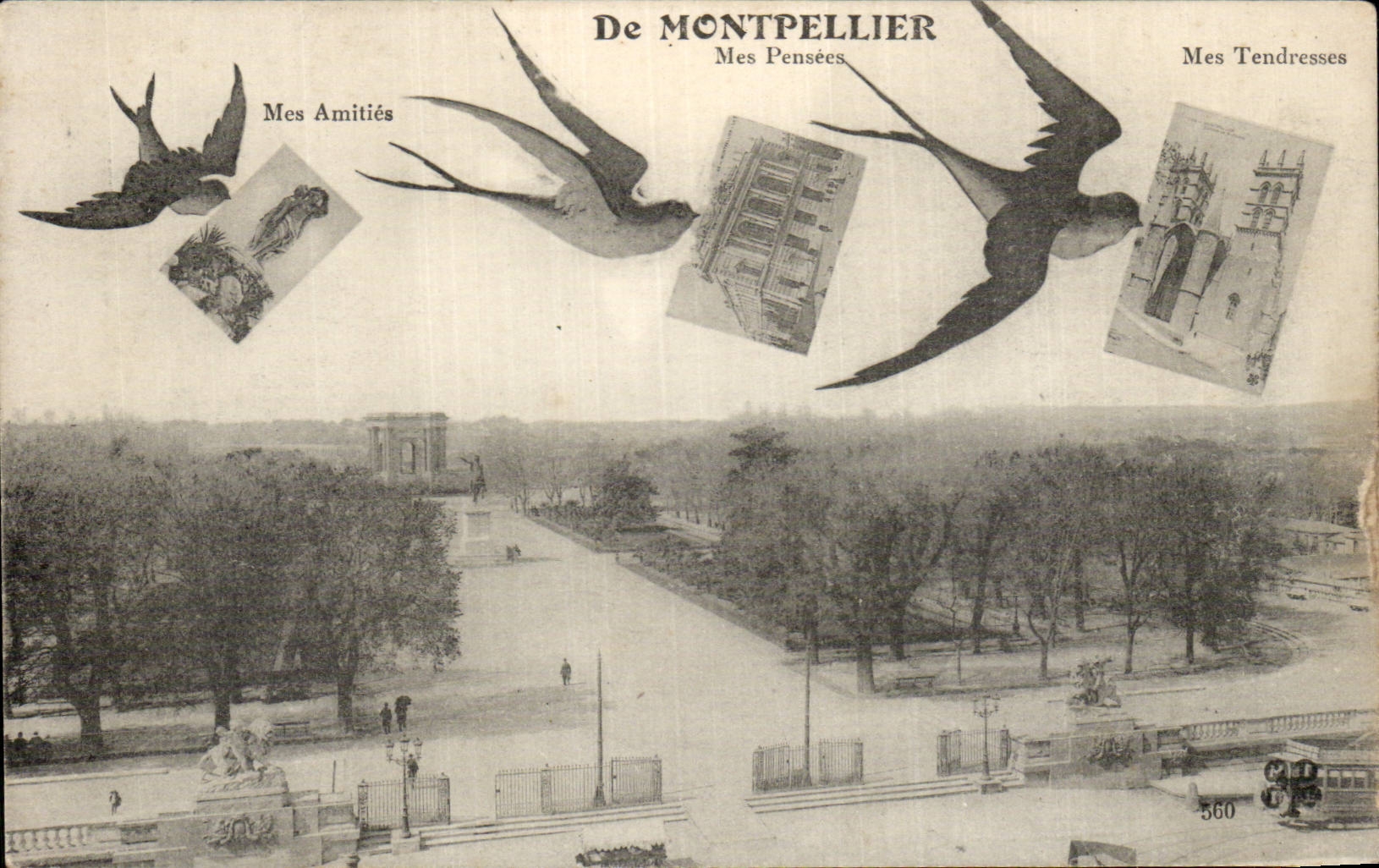 Montpellier CPA Mes pensees Hirondelles