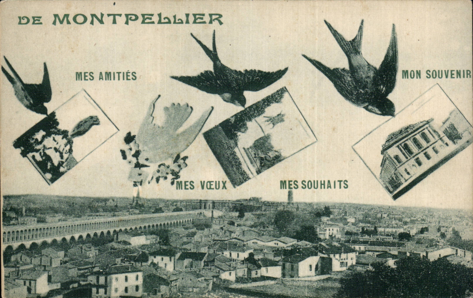 Montpellier CPA Hirondelles