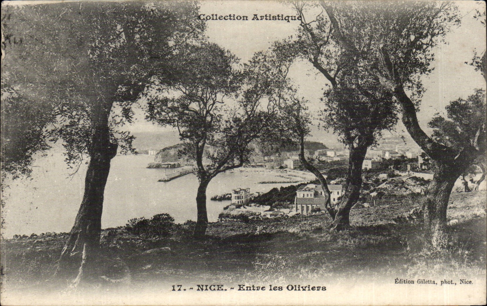 Nizza CPA kommt die Olivebaume