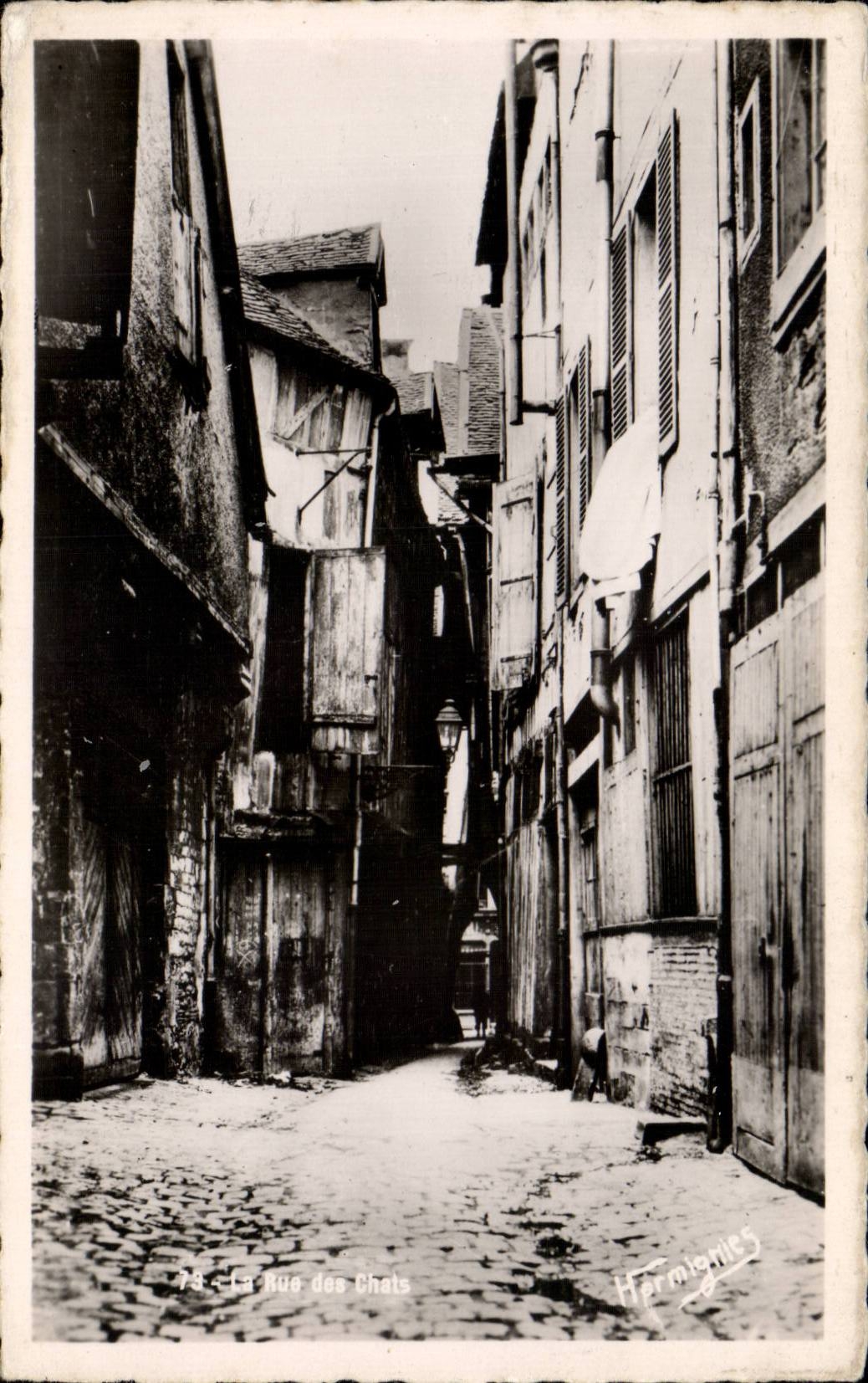 Troyes CPA the street of the cats