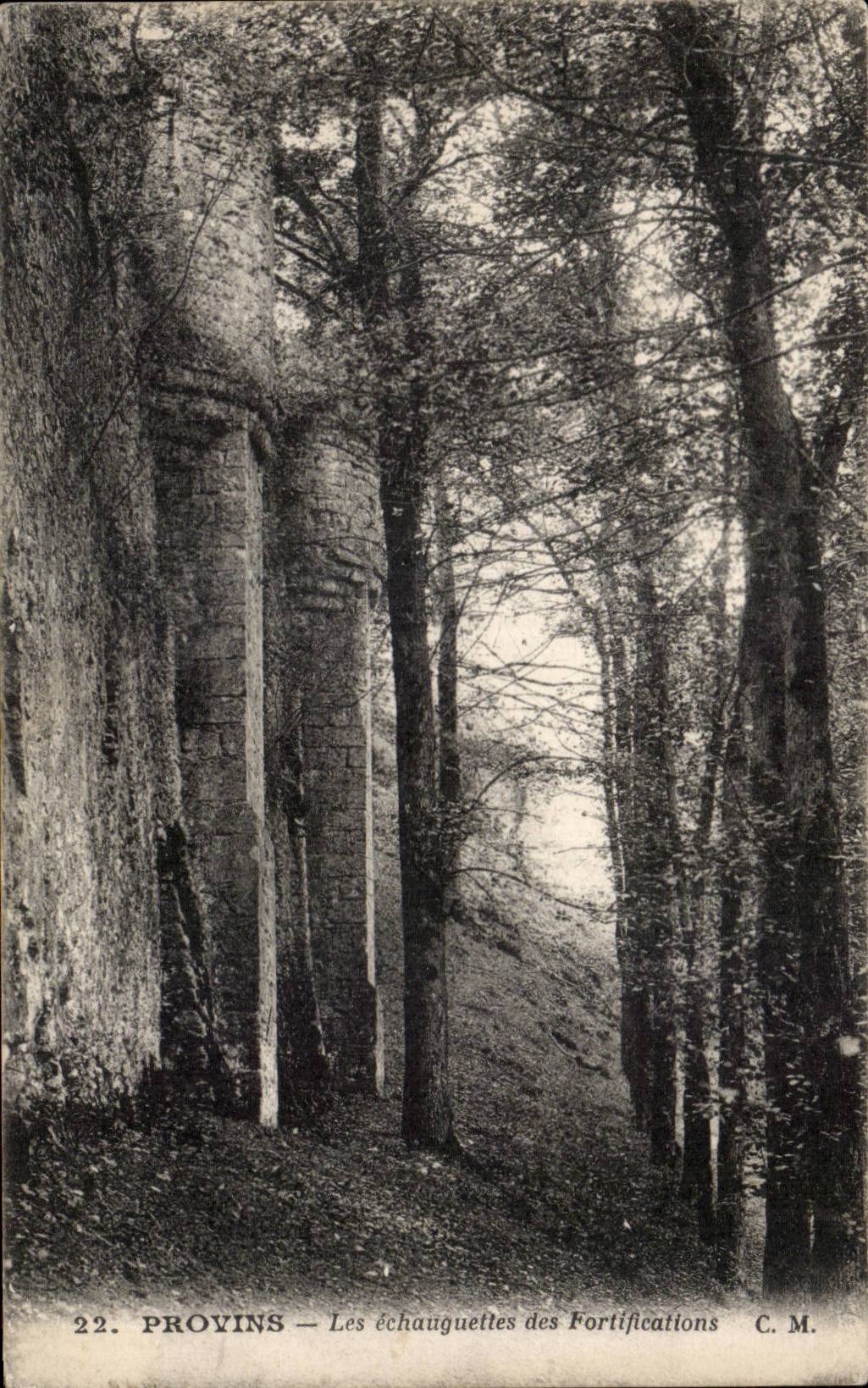 CPA Layered branches watch towers of the fortifications