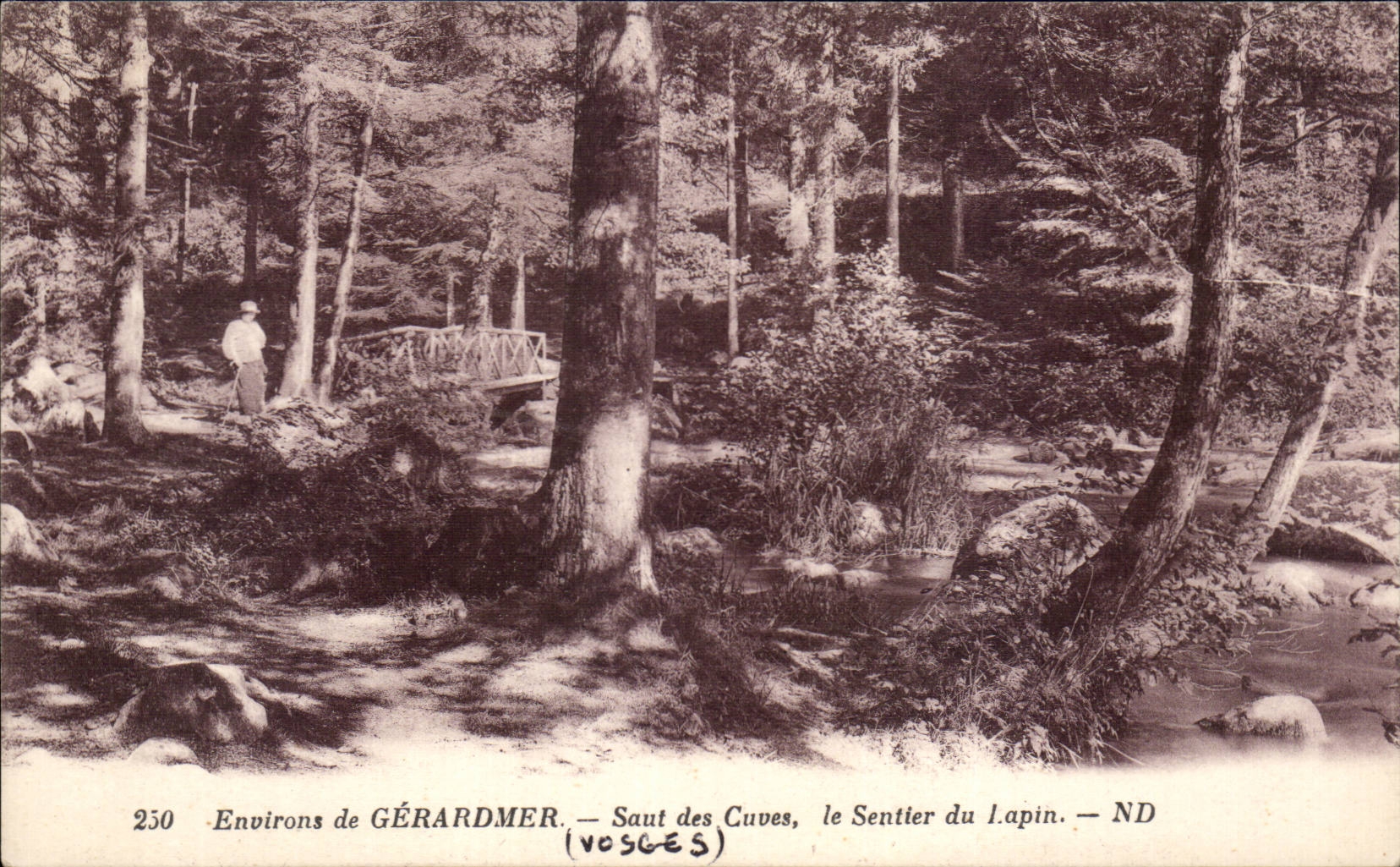 CPA Surroundings of Gerardmer Jump of the tanks the path of rabbit