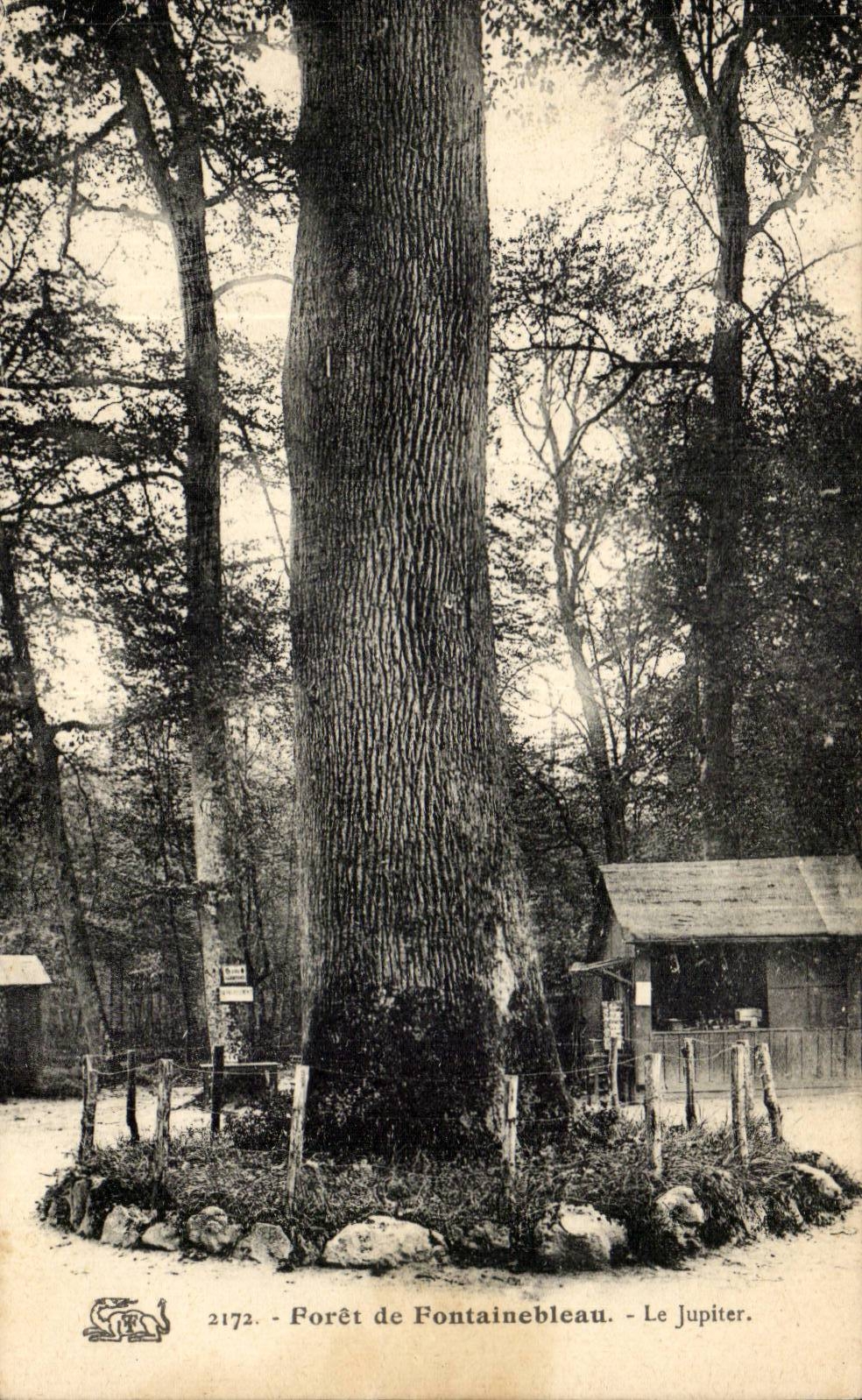 CPA Drill of Fontainebleau Jupiter