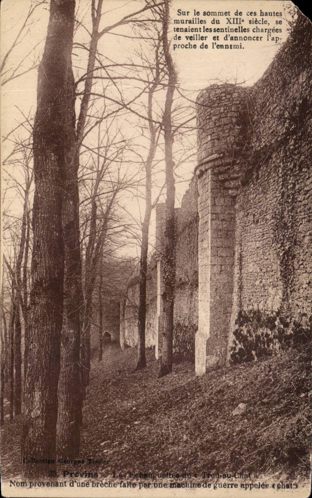 CPA Layered branches