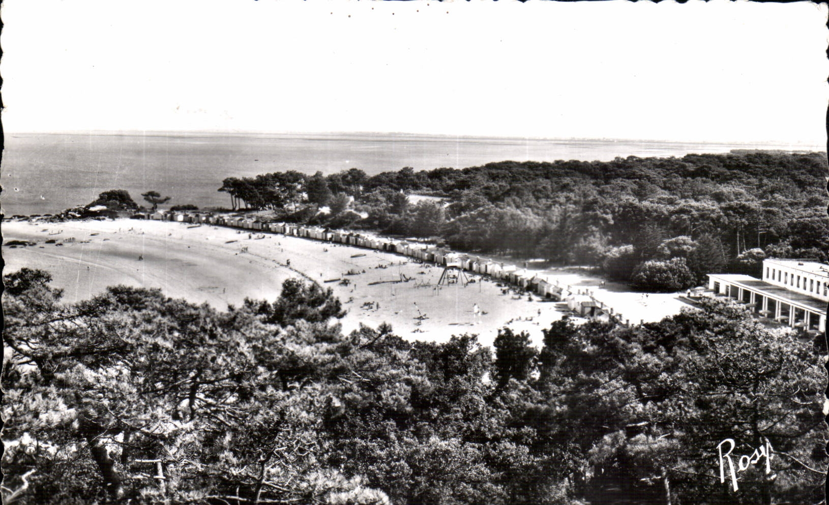 CPSM Noirmoutier Beach of the ladies and wood of Chaize