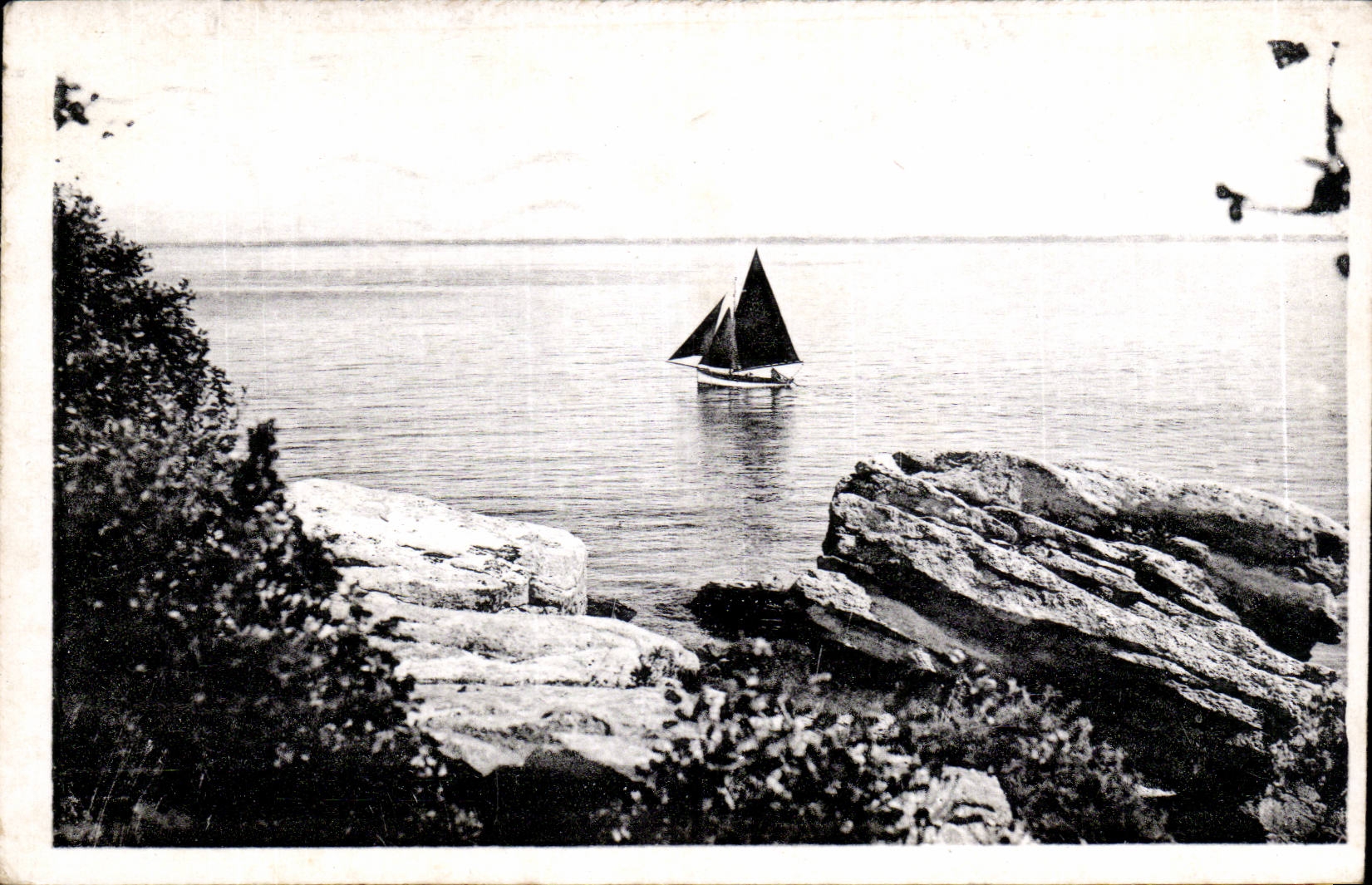 CPSM Island of Noirmoutier a beautiful escape on spangling with the wood of Chaize