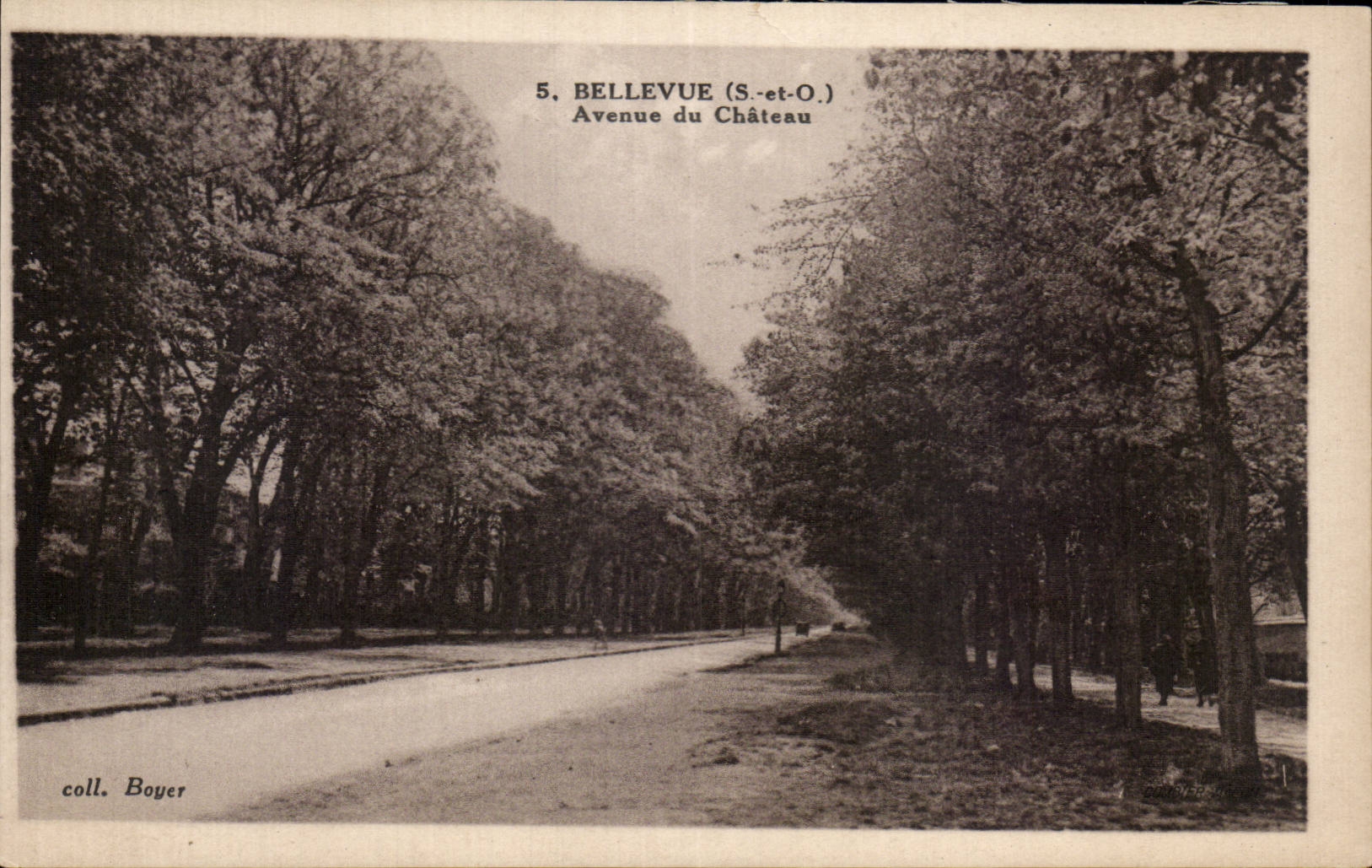 CPA Bellevue Avenue du chateau