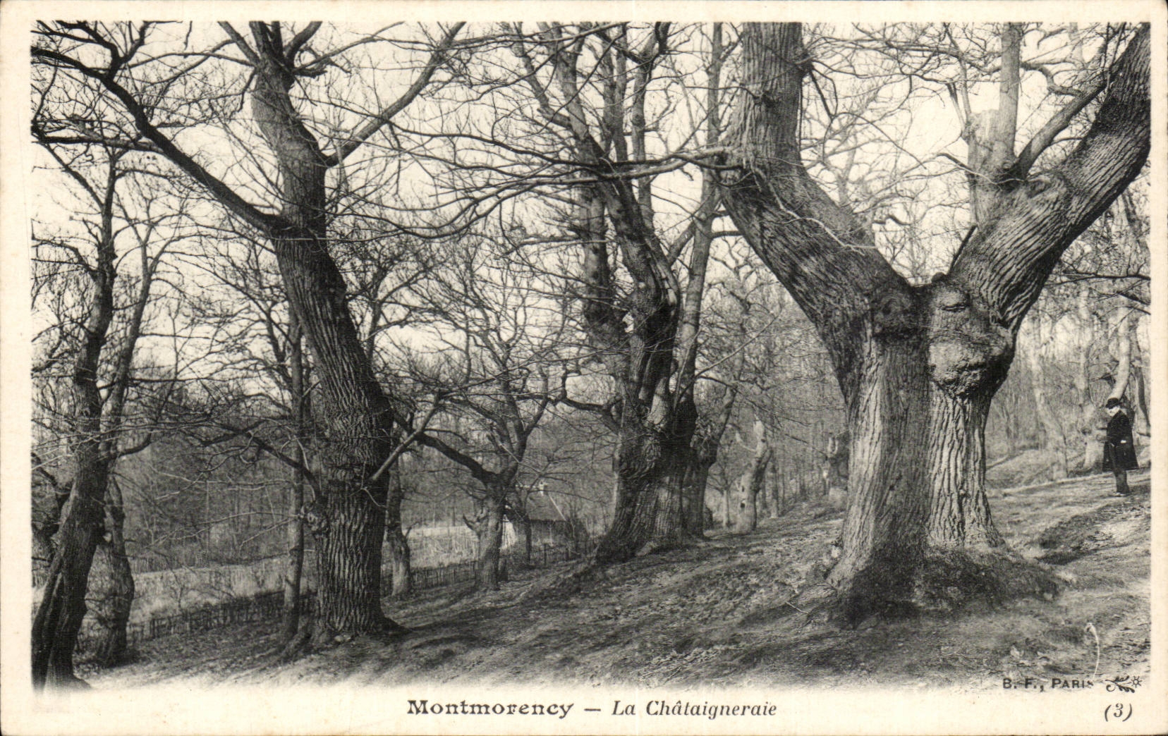 CPA Montmorency the chestnut grove