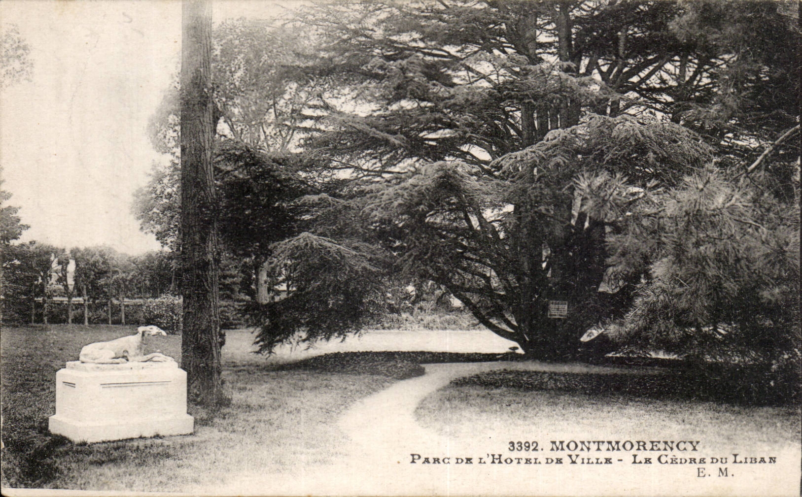 CPA Montmorency Park of the town hall the cedar of Lebanon