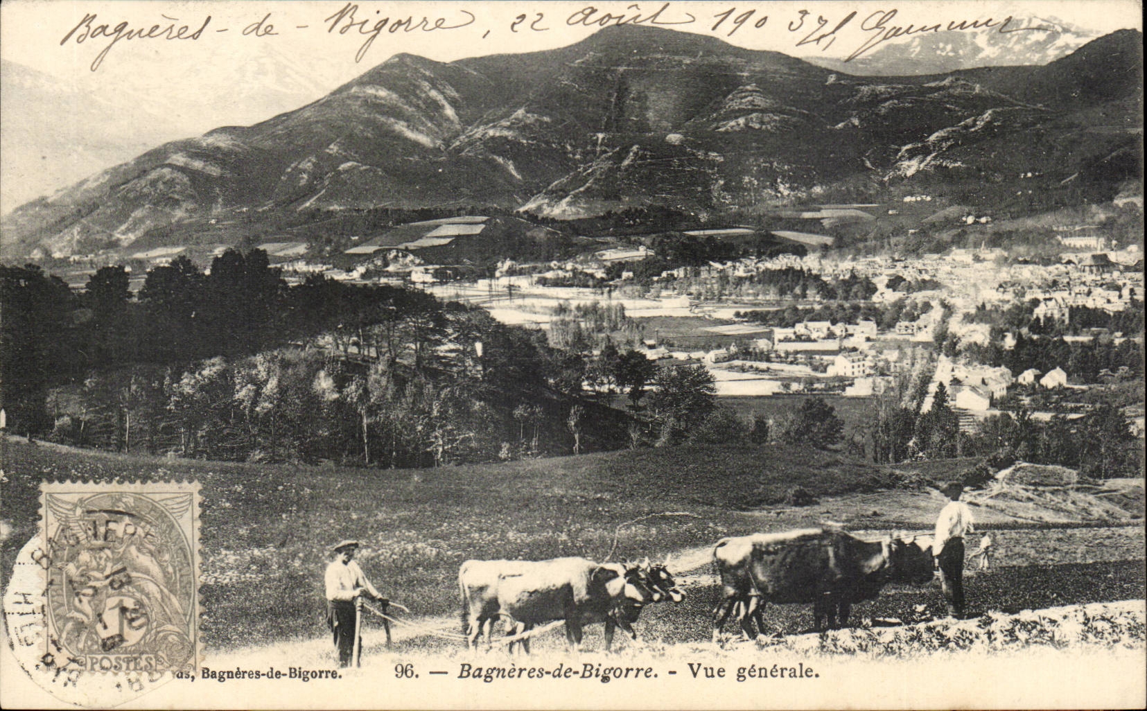 CPA Bagneres de Bigorre View Cows