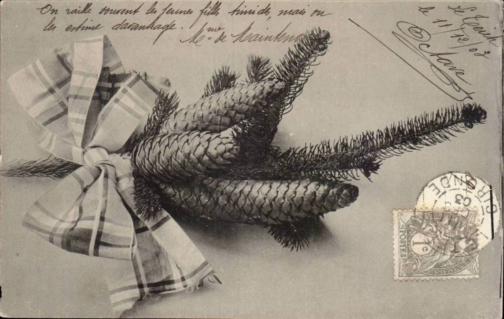 CPA Phantasie-Kieferkegel