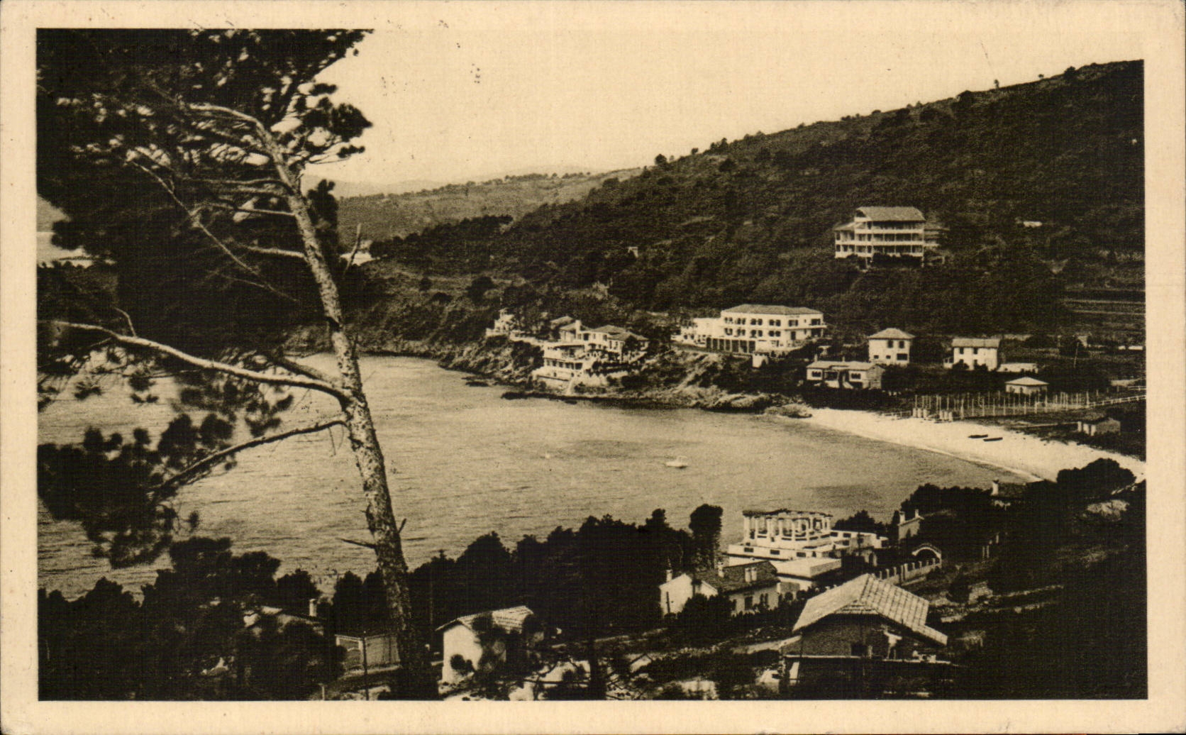 CPA Le Lavandou Aiguebelle