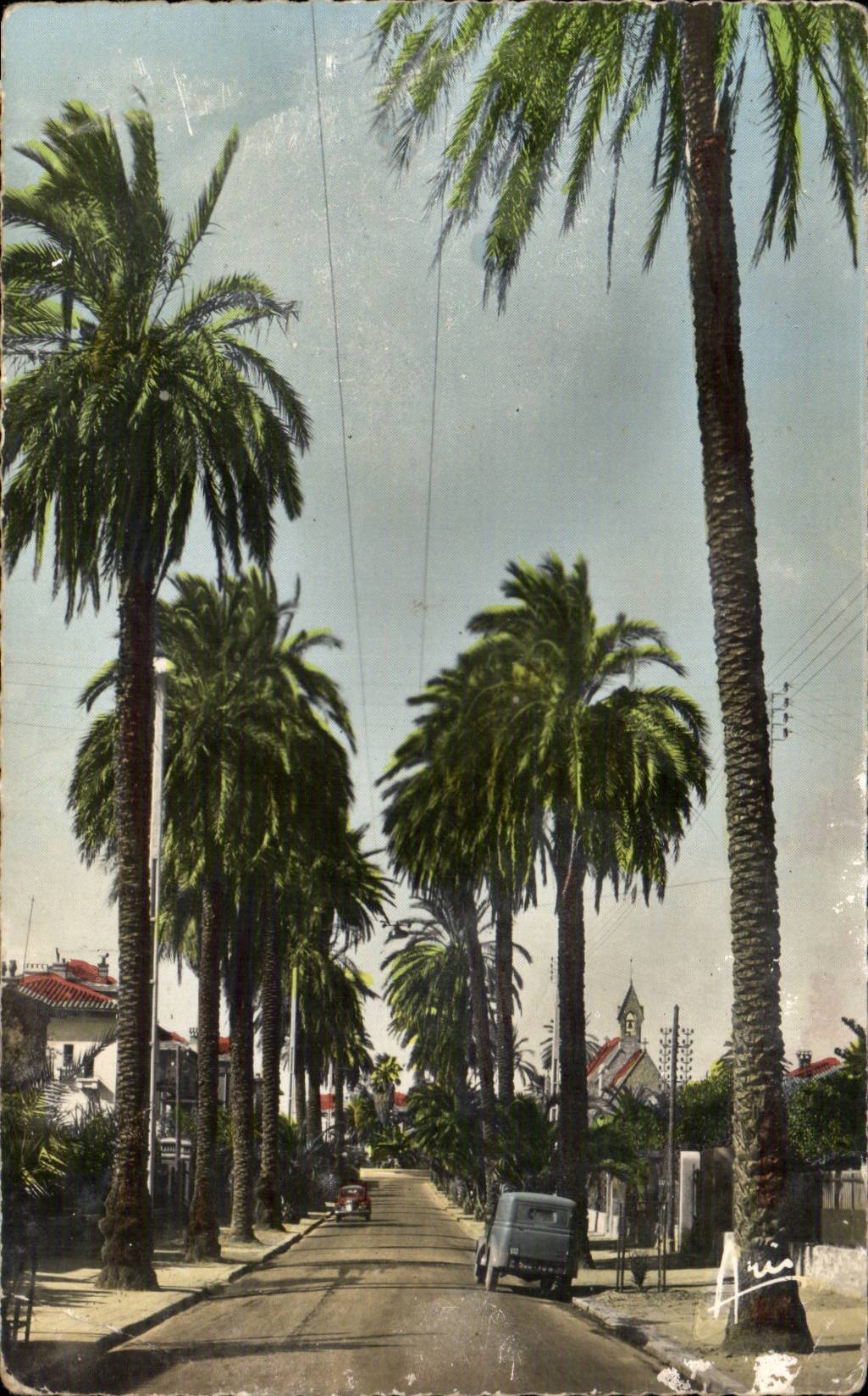 CPA Hyeres die Palmen Allee von Beauregard