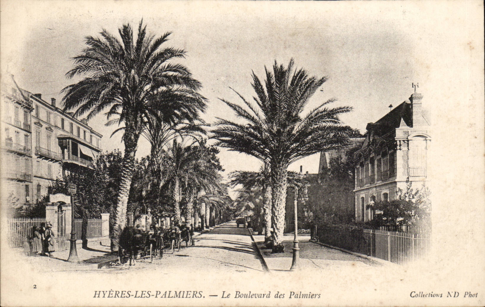 CPA Hyeres Palmen die Prachtstrasse der Palmen