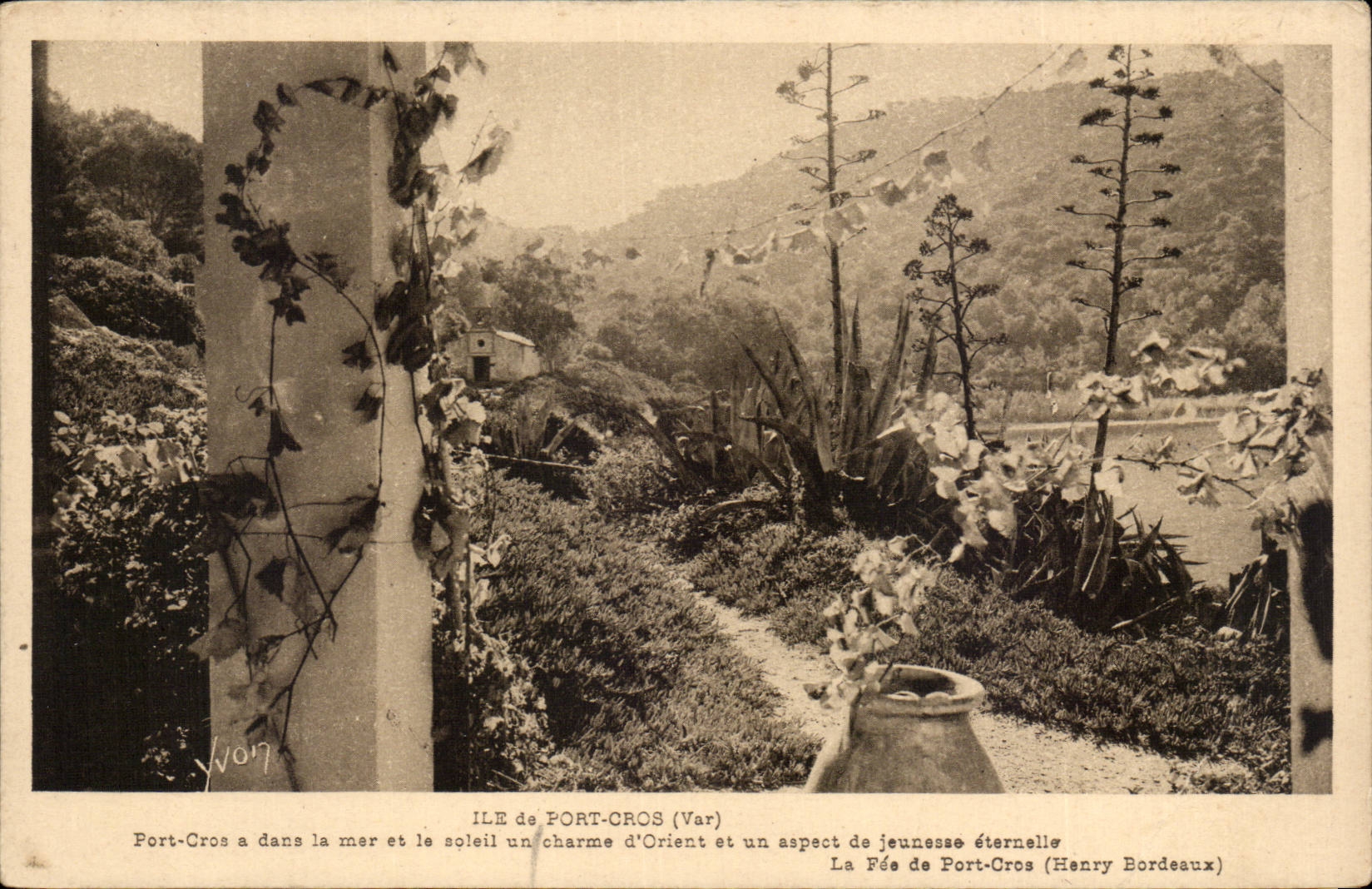 Ile de Port Cros CPA 