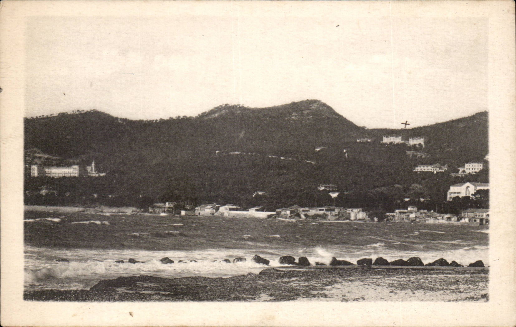 CPA Hyeres Bezirk der Almarre Einfassung der Vogel
