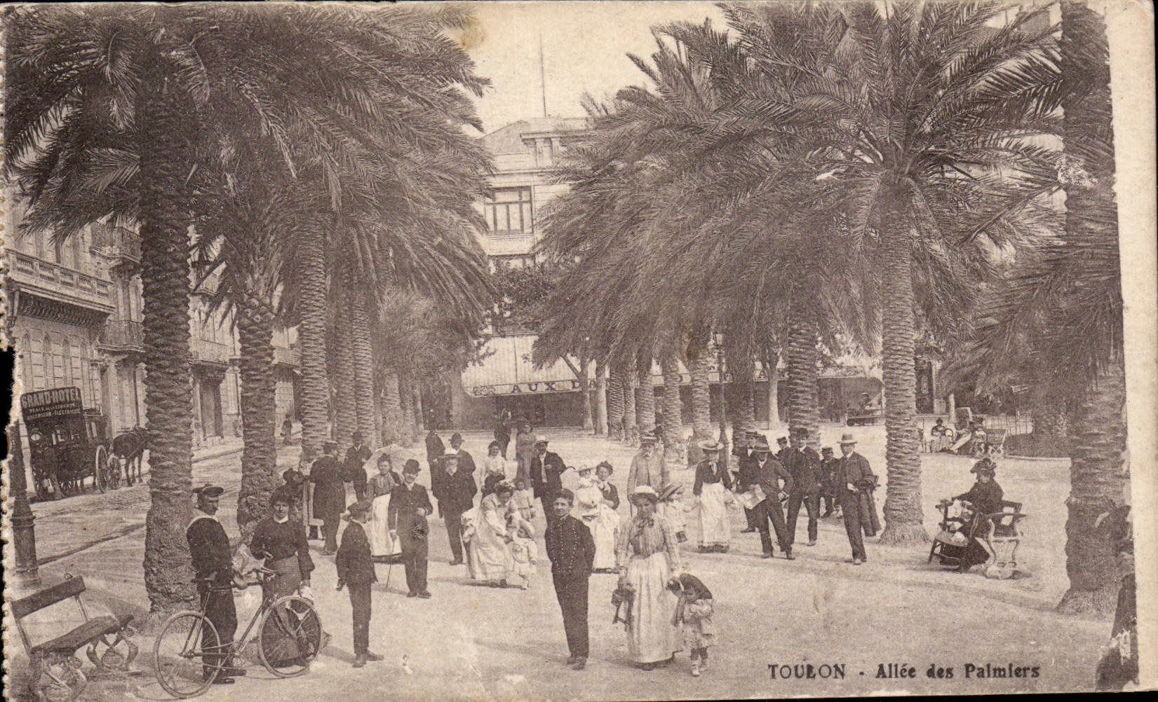 CPA Toulon Allee of the palm trees