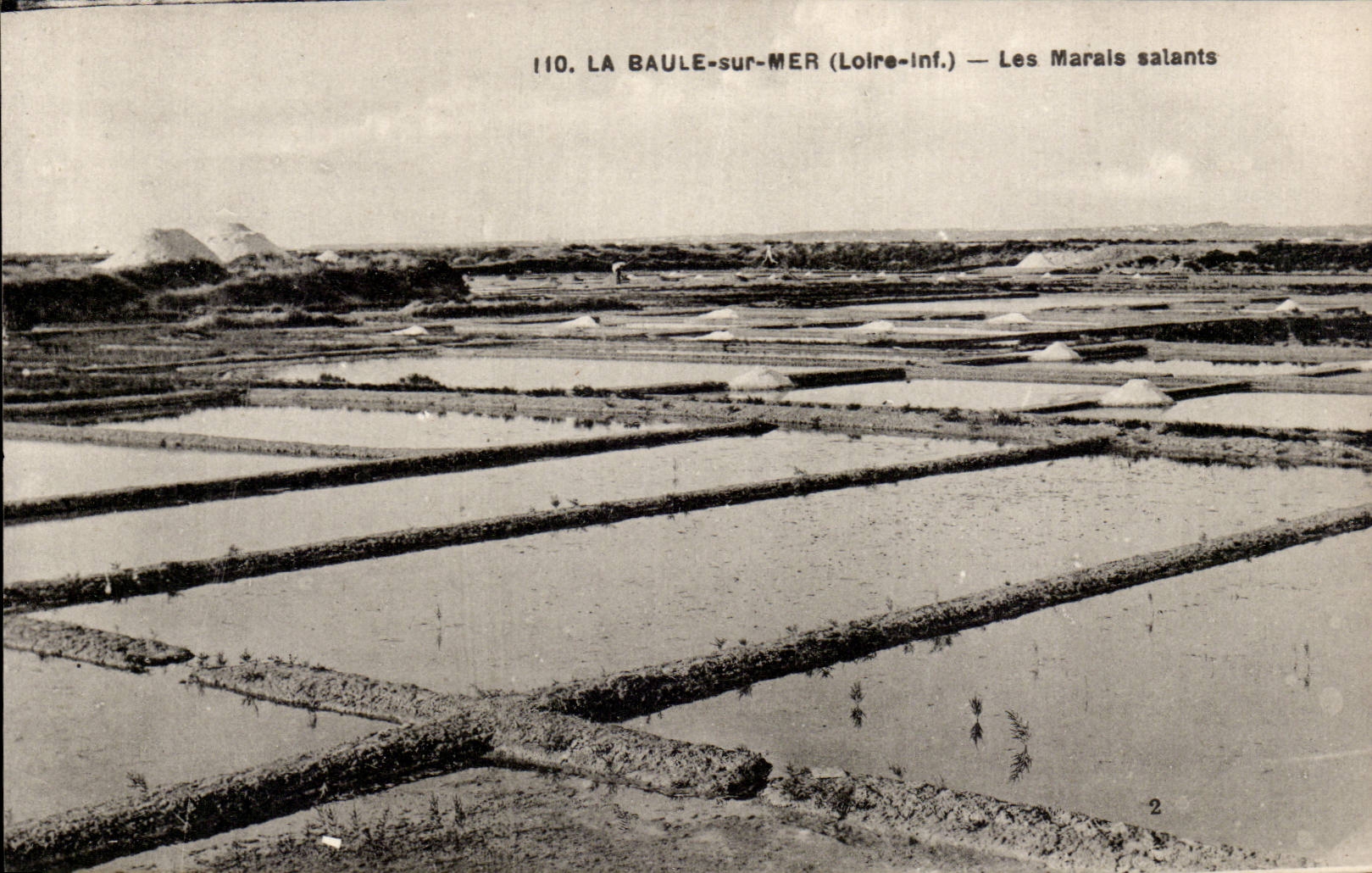 CPA La Baule on Sea salt-water marshes