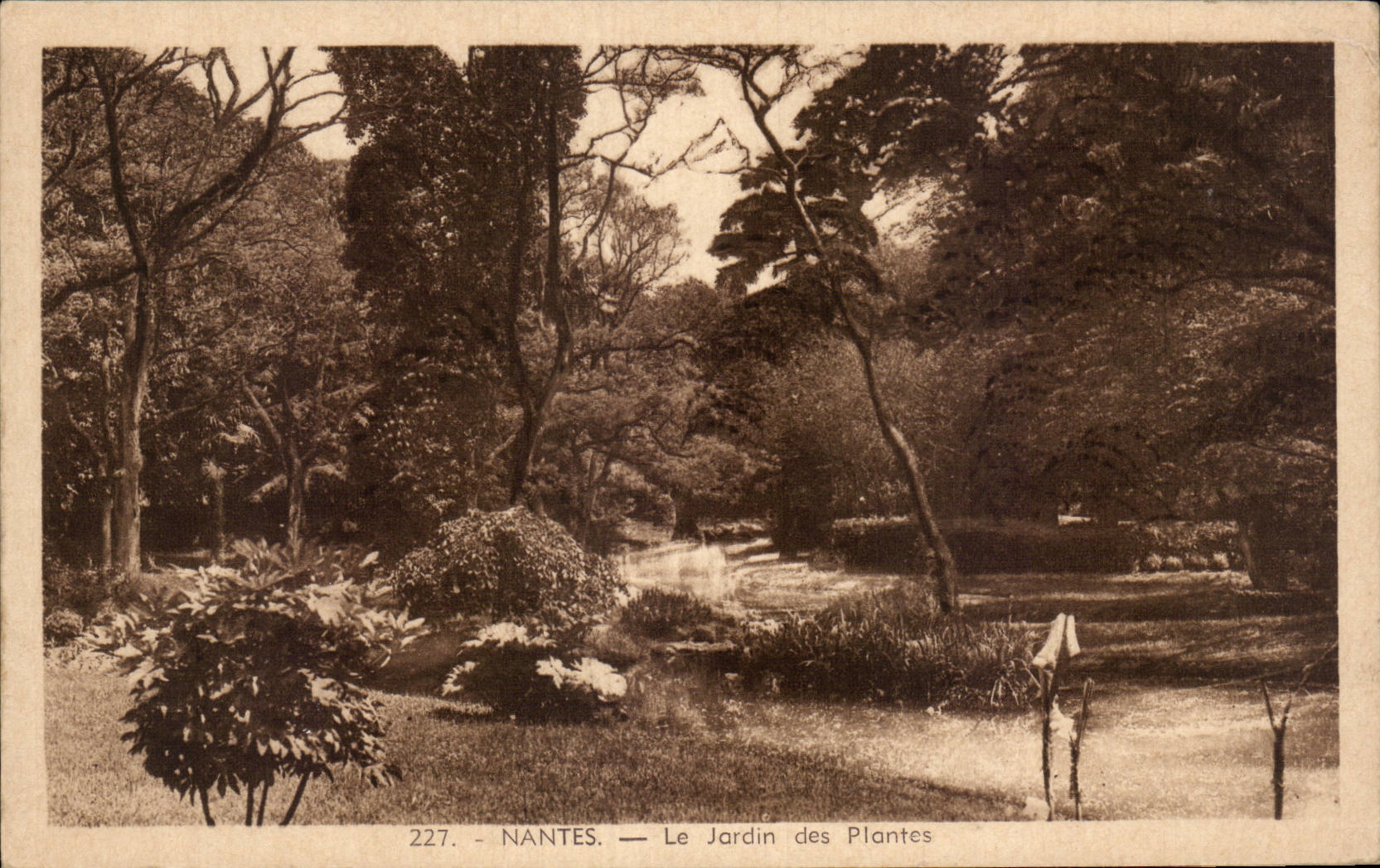 CPA Nantes the botanical garden