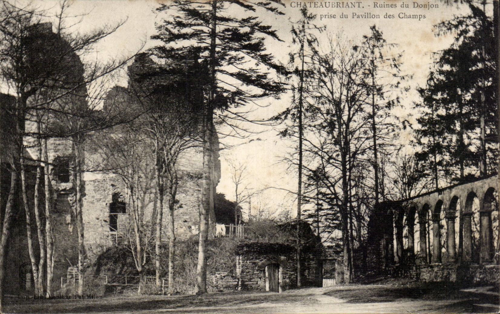 Chateaubriant CPA Ruins of the keep Seen from of the house of the Fields