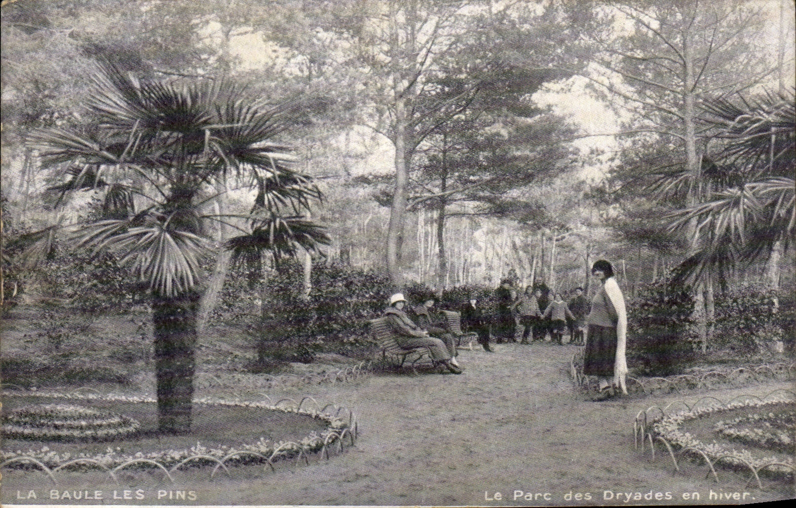 CPA La Baule pines the park of Dryades in winter